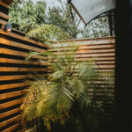 Terrasse en bois avec palmier sous voile d'ombrage