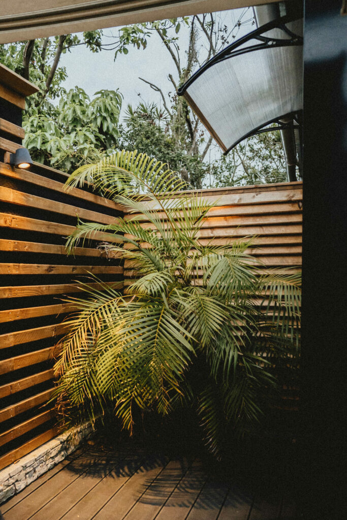 Terrasse en bois avec palmier sous voile d'ombrage