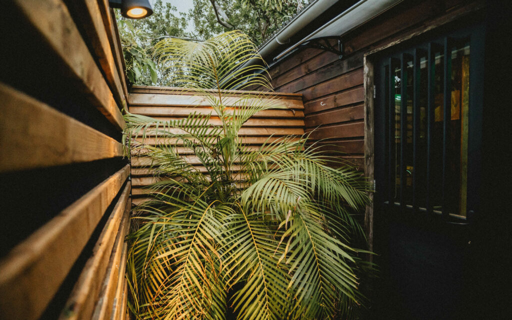 Façade du lodge en bardage bois et végétation tropicale