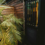 Entrée du lodge en bois entourée de plantes