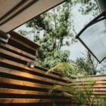 Terrasse avec pergola et palmier