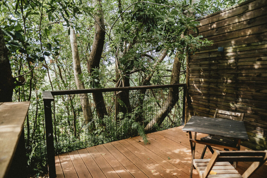 Terrasse en bois dans la canopée