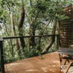 Terrasse en bois immergée dans la canopée