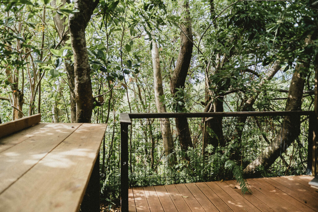 Terrasse face à la forêt tropicale